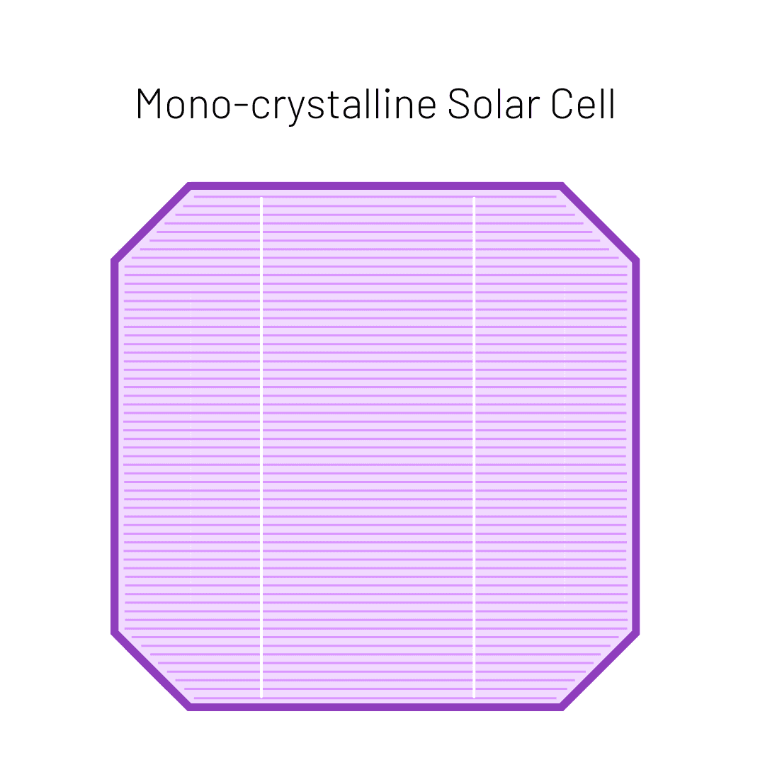 cell