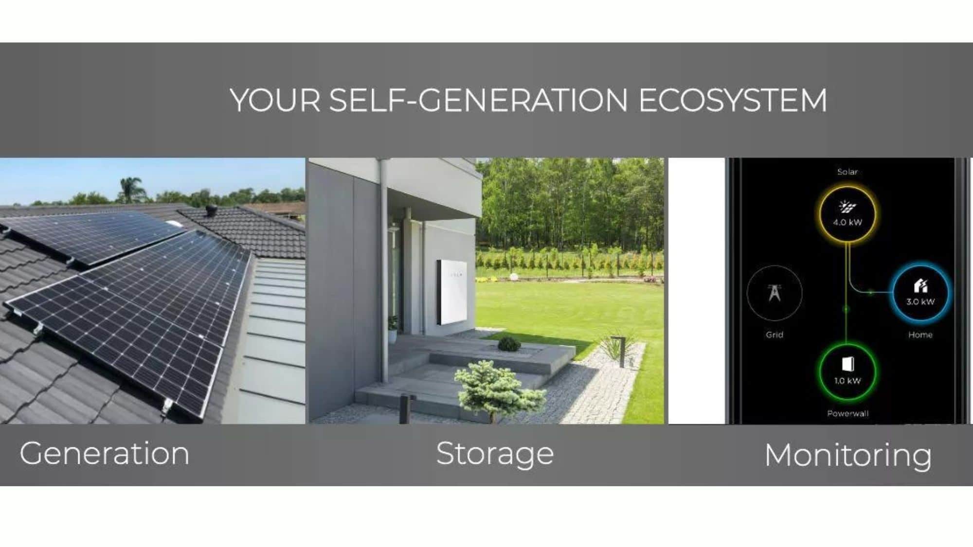 self-generation ecosystem