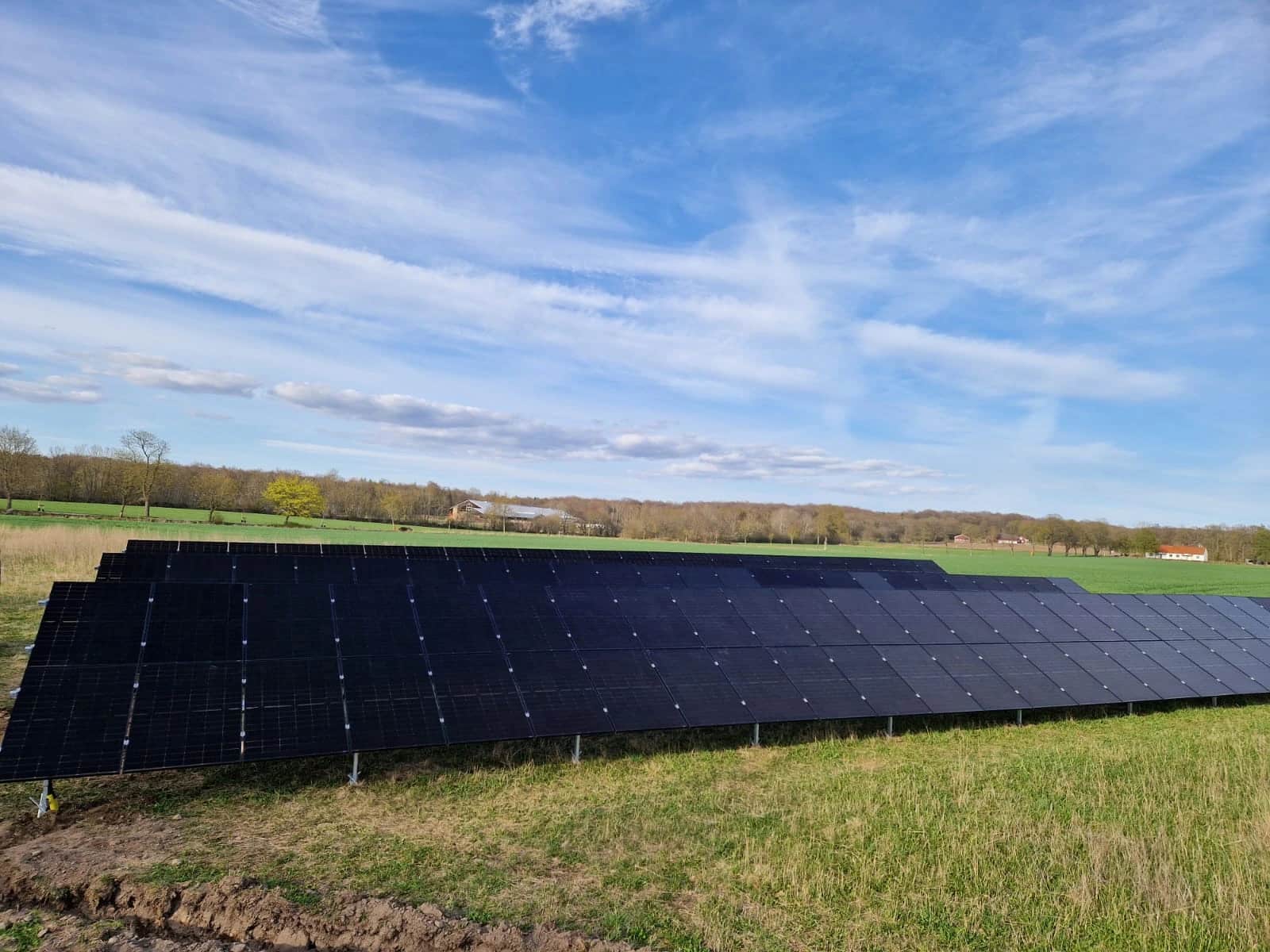 Rivi aurinkopaneeleita nurmikentällä sinisen taivaan alla, jossa on hajanaisia pilviä; taustalla näkyy puita ja avointa maata.