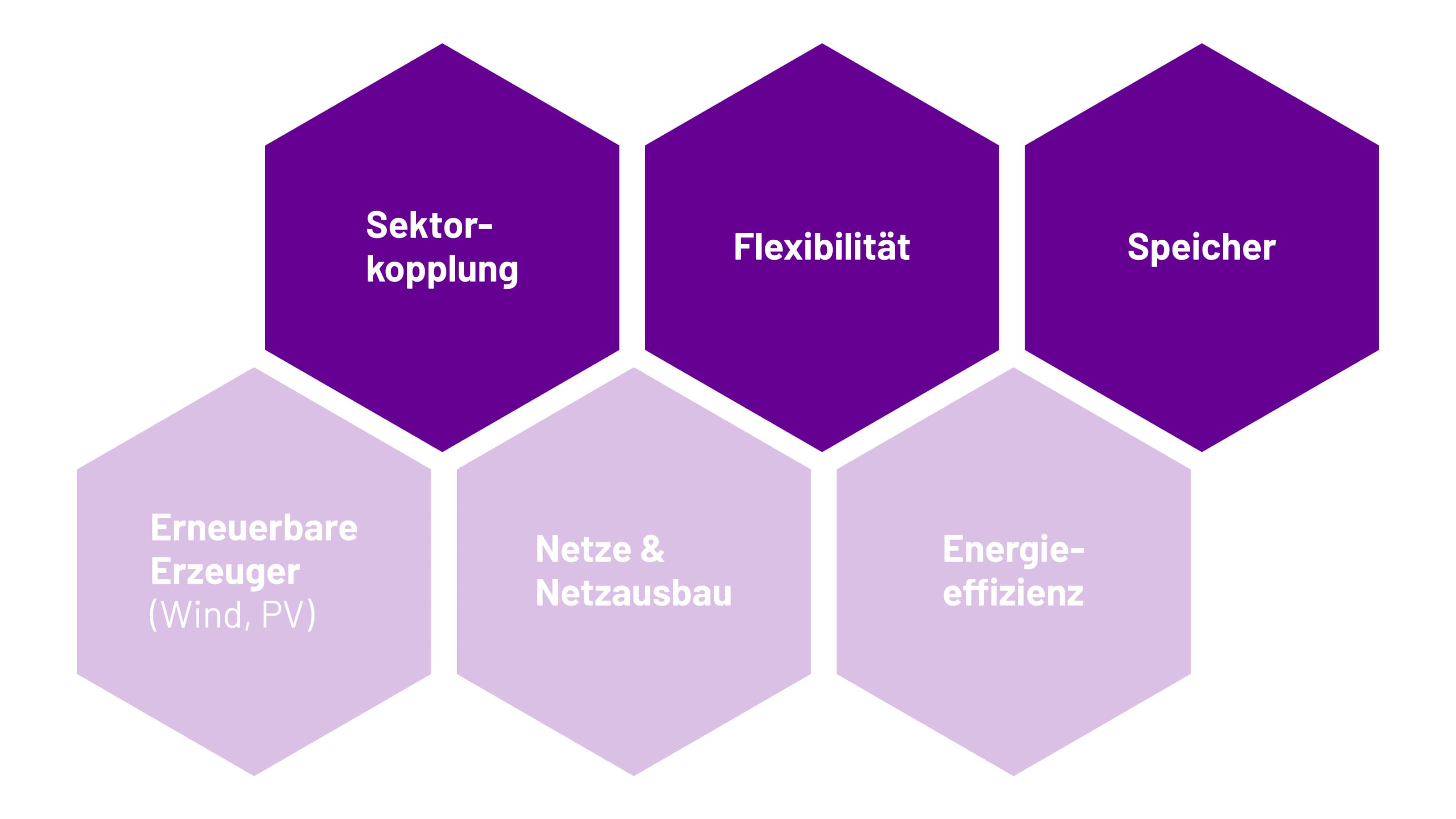 Puzzleteile einer erfolgreichen Energiewende; Quelle: Strom, Netz, Fluss (2021)