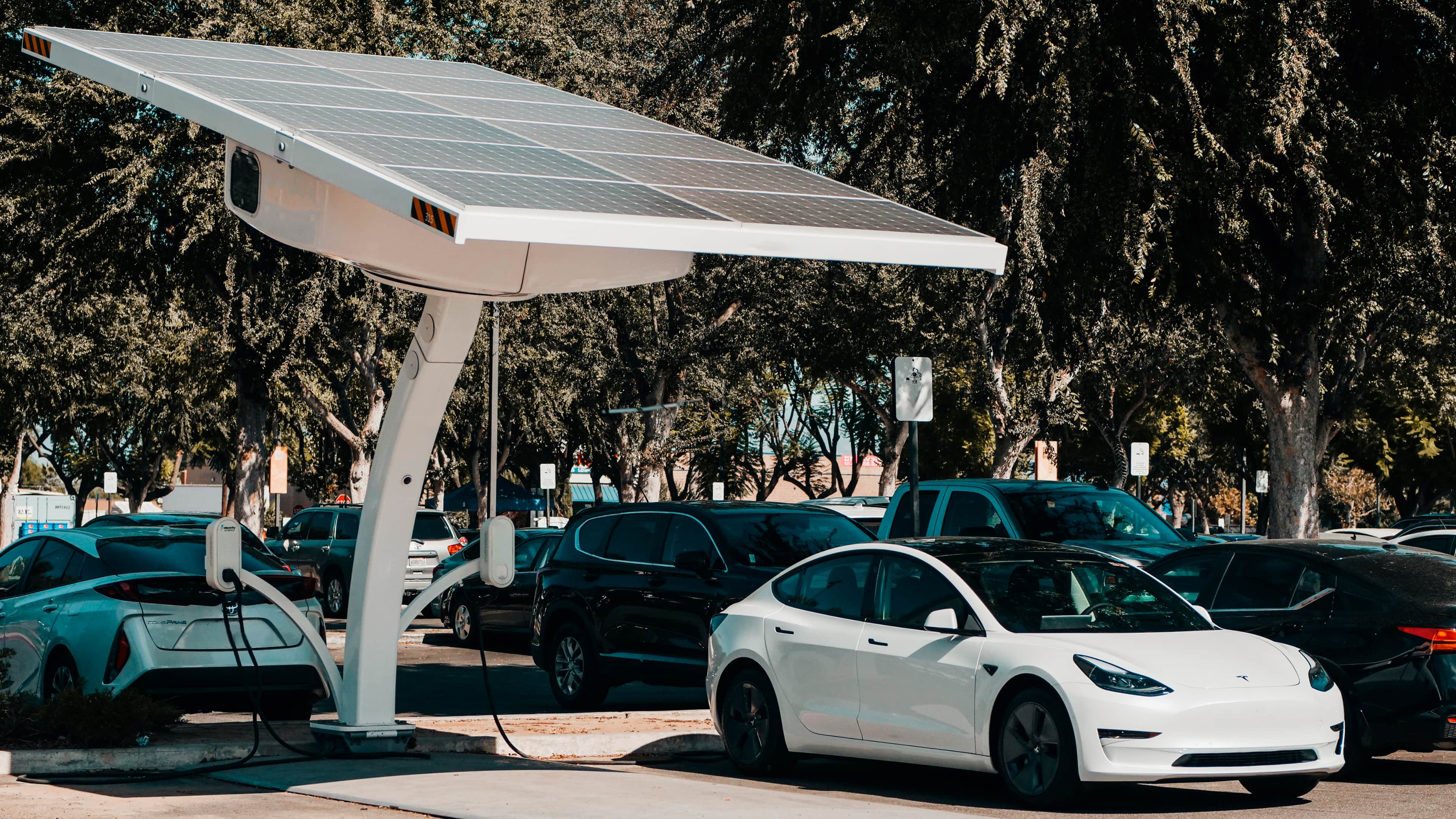 cargador de coche eléctrico para empresas