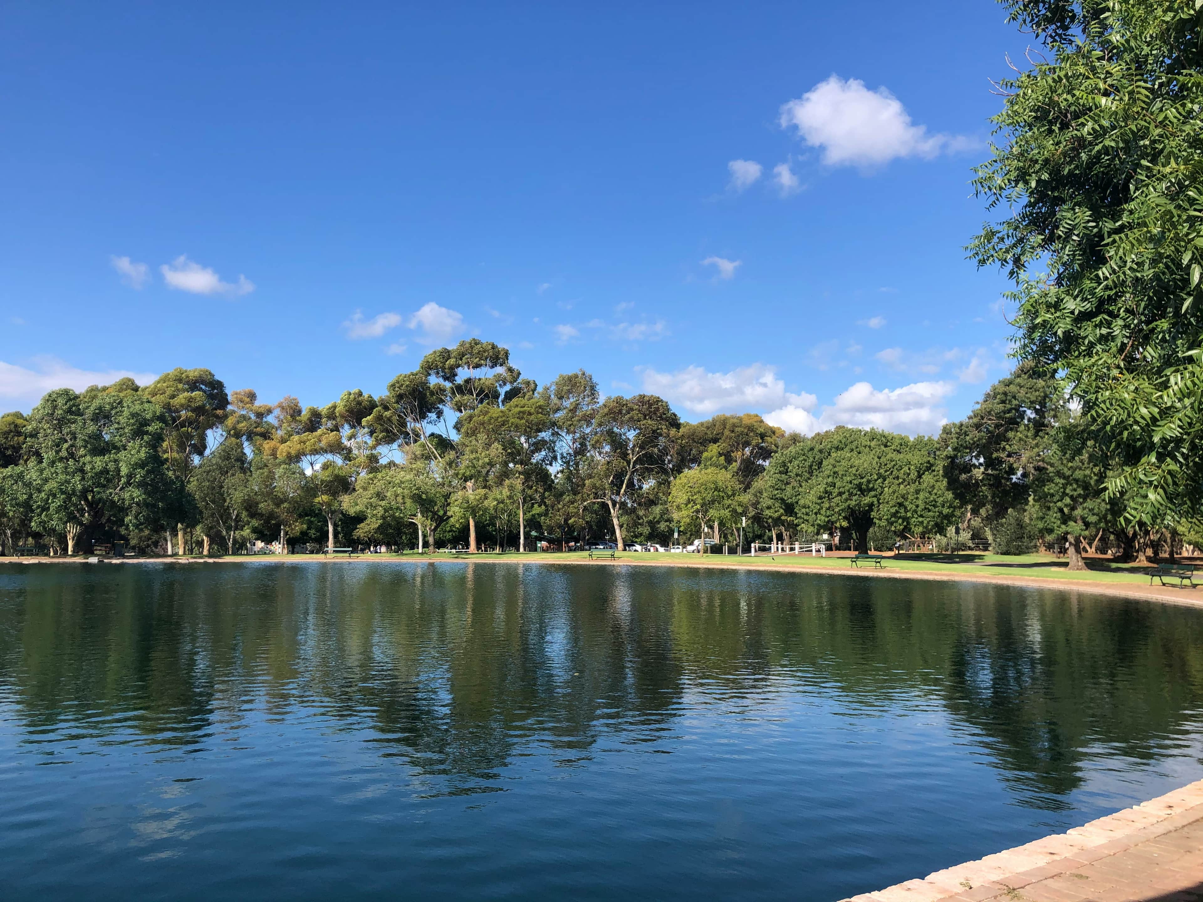 Bonython Park 