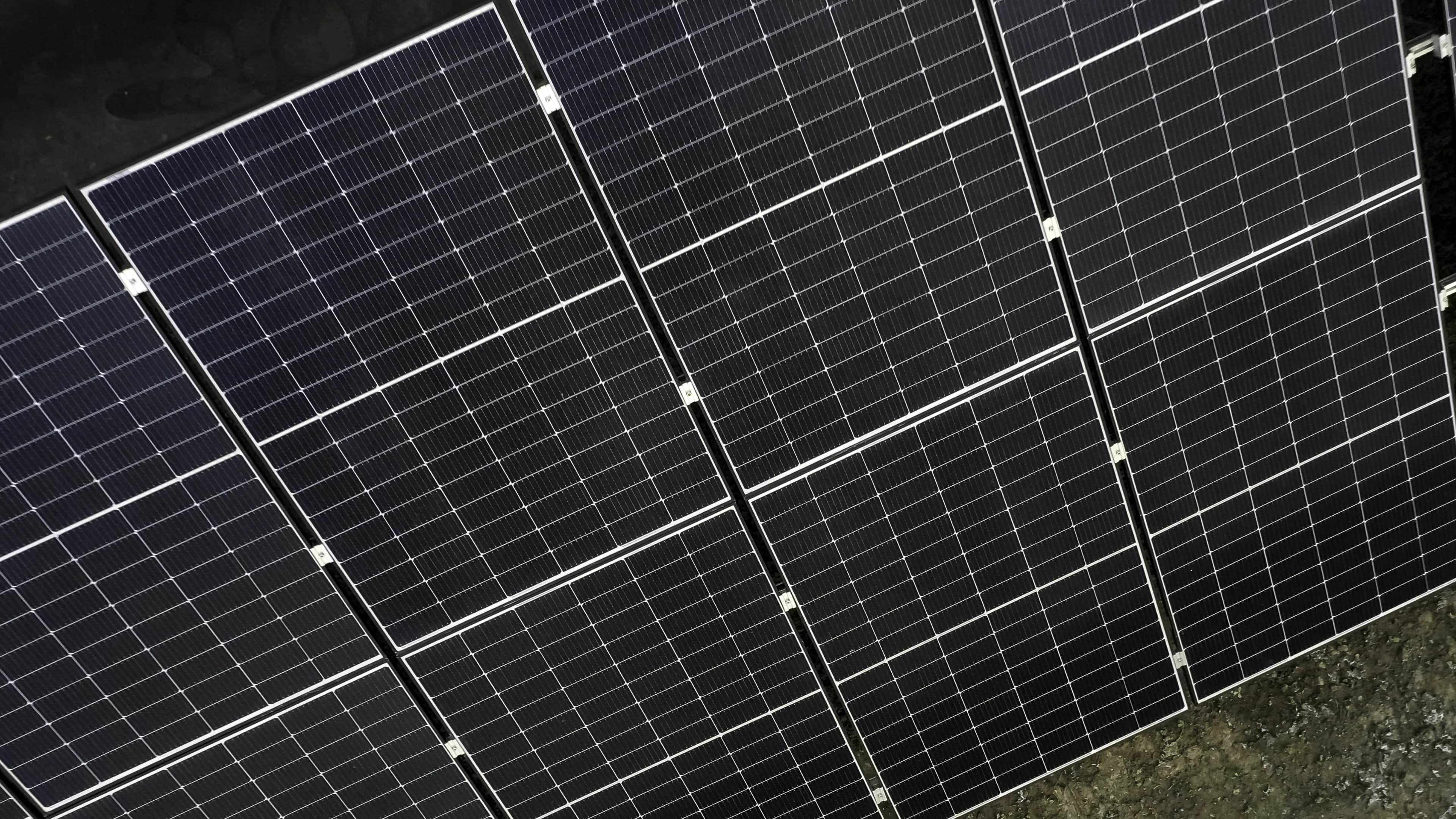 philipp schröder ceo 1komma5°