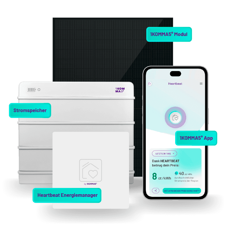 Energiemanager Heartbeat 