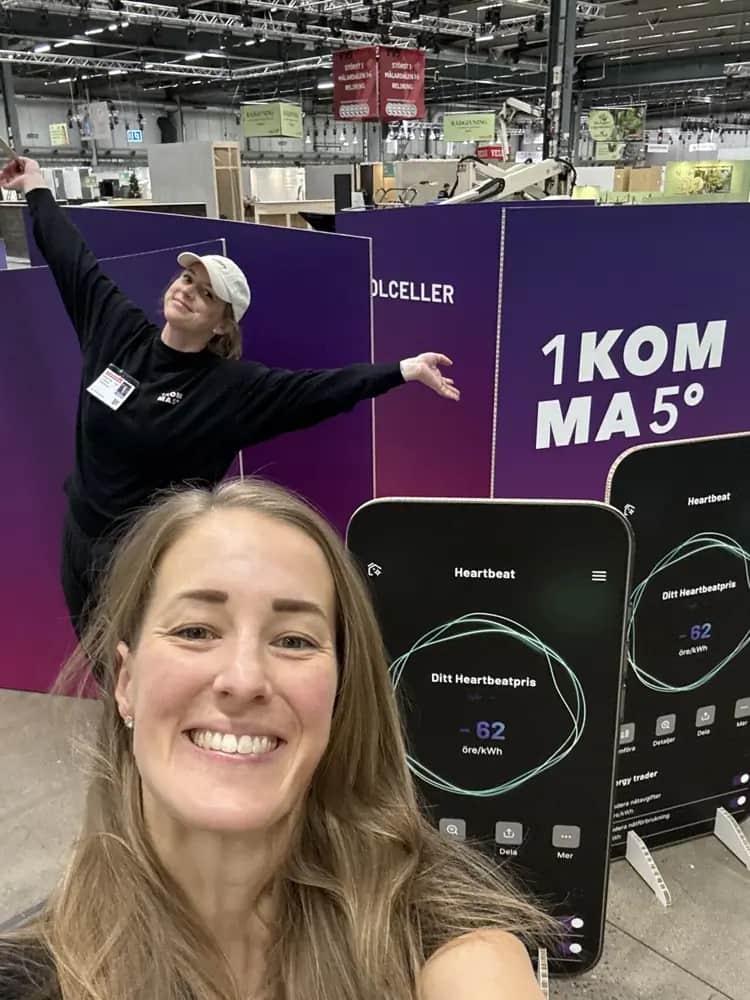 Solcellspriser för olika anläggningsstorlekar