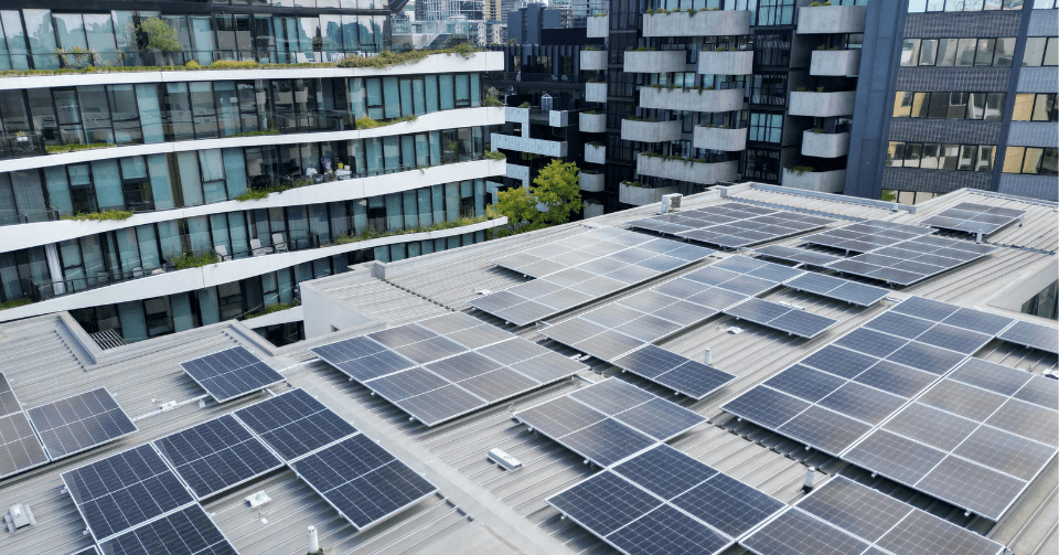 1KOMMA5° Sustainability Report mood