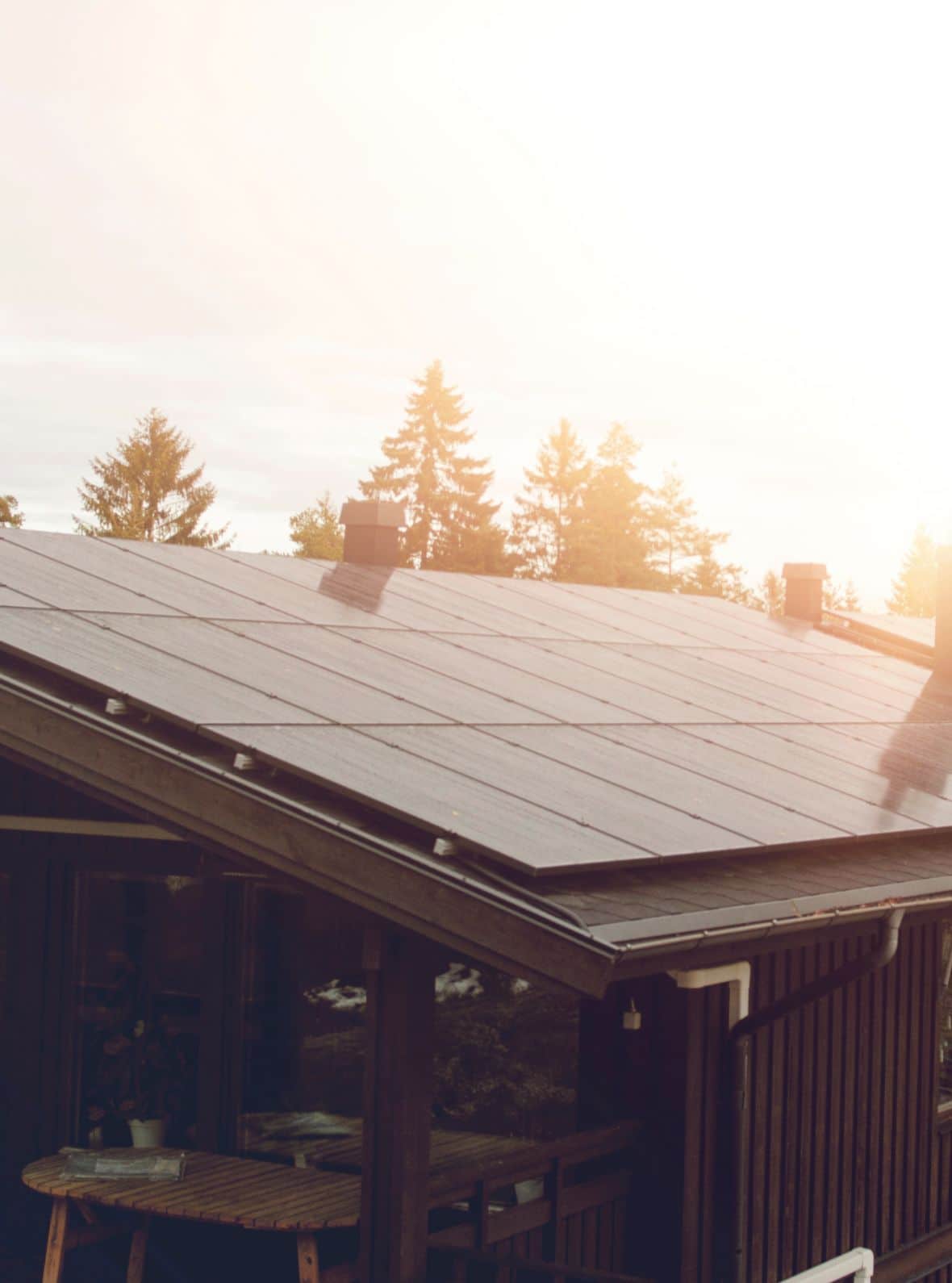 Sunlit roof covered with solar panels, surrounded by evergreen trees