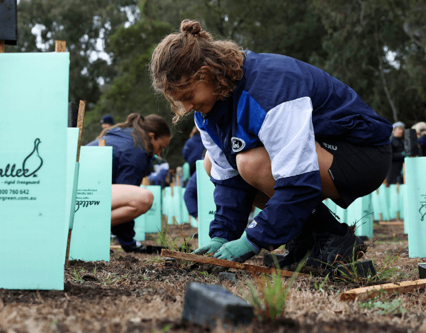 1KOMMA5° x Geelong Cats Tree Planting Day