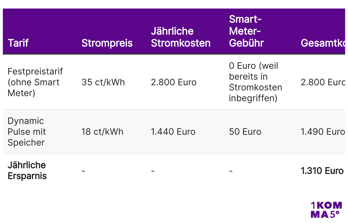Ersparnispotenzial durch Smart Meter