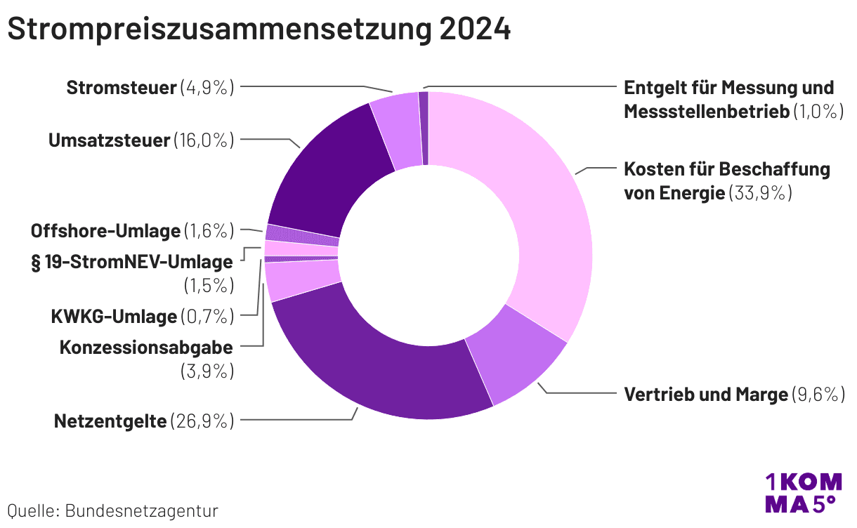 Die Strompreiszusammensetzung 2024 in Deutschland