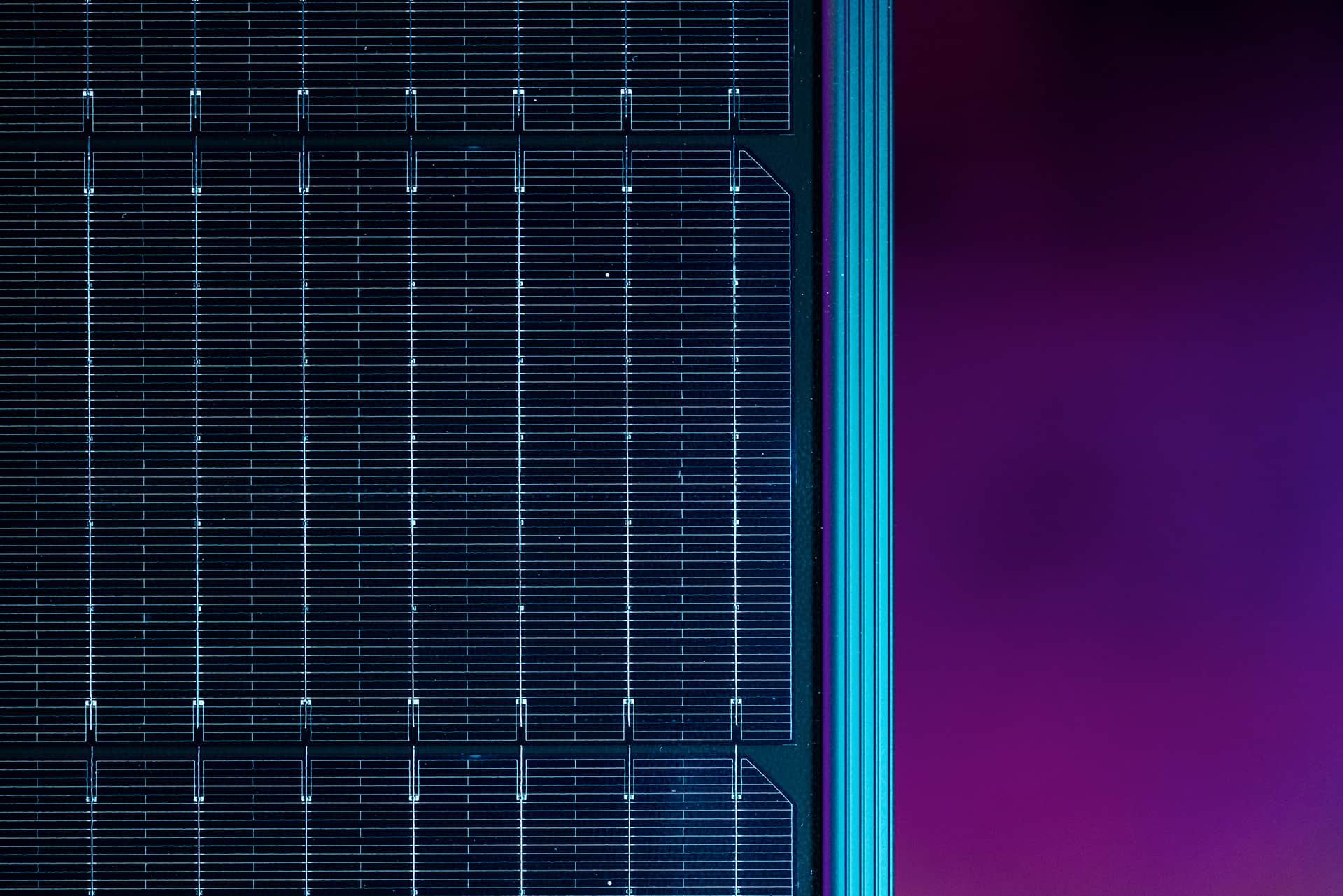 Philipp Schröder, CEO og medstifter af 1KOMMA5° | Christoph Neumann