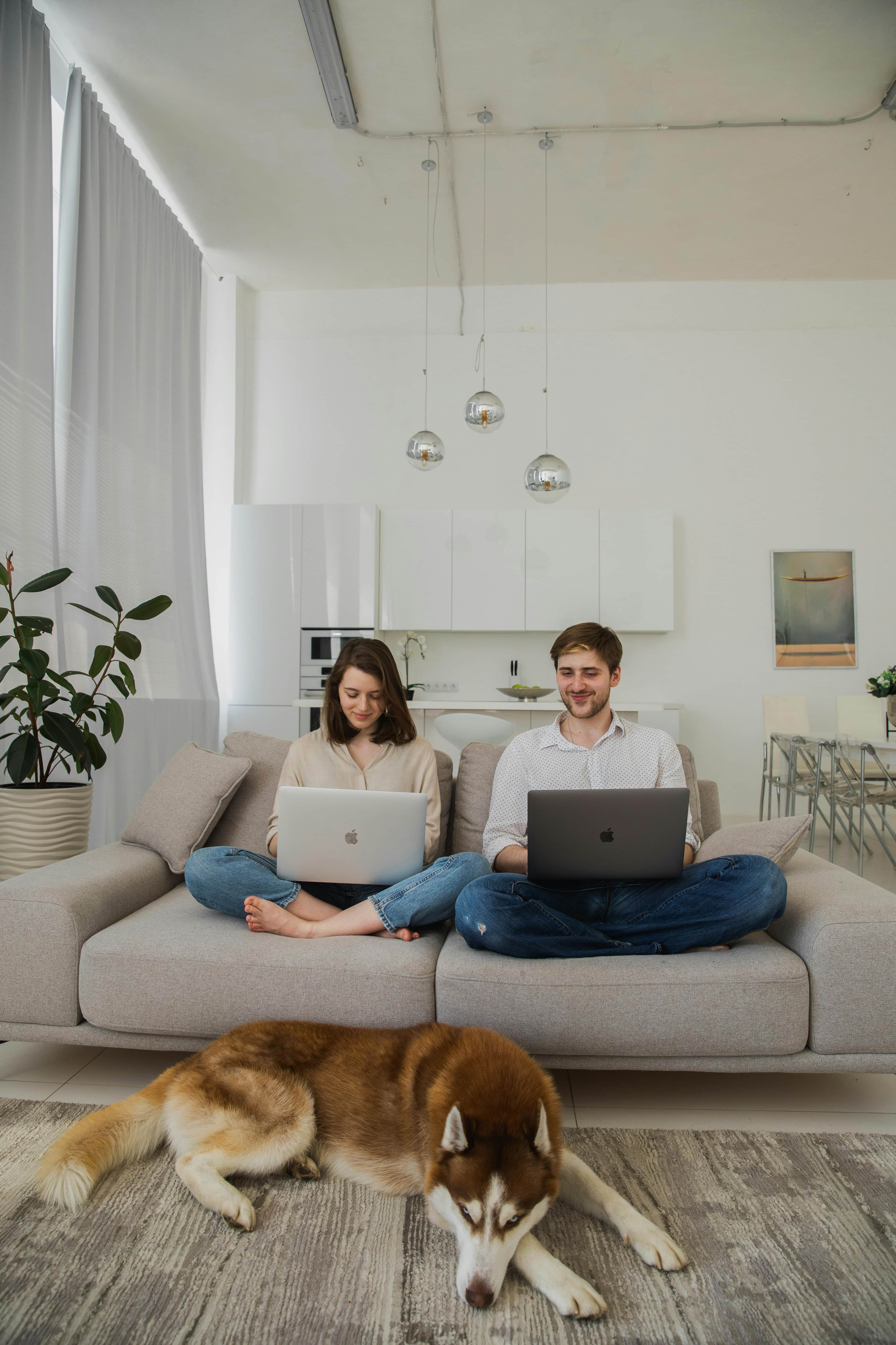 couple working from home with pet lying on the floor