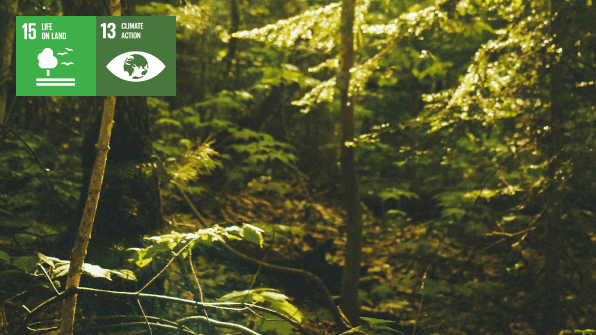 den danske naturfond