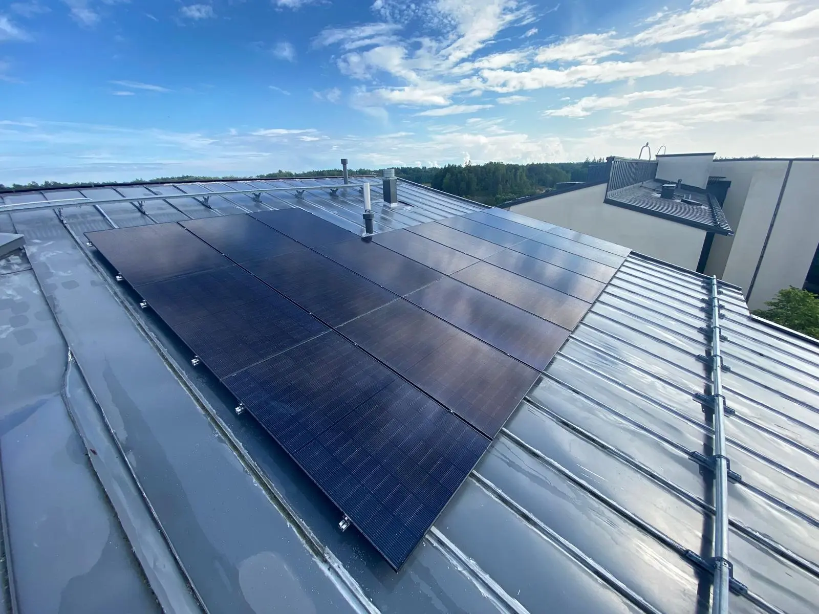 Ilmakuva esikaupunkialueesta, jossa on kaarevia teitä, tiheän vihreän metsän ja hajallaan olevien tummakattoisten talojen ympäröimänä.