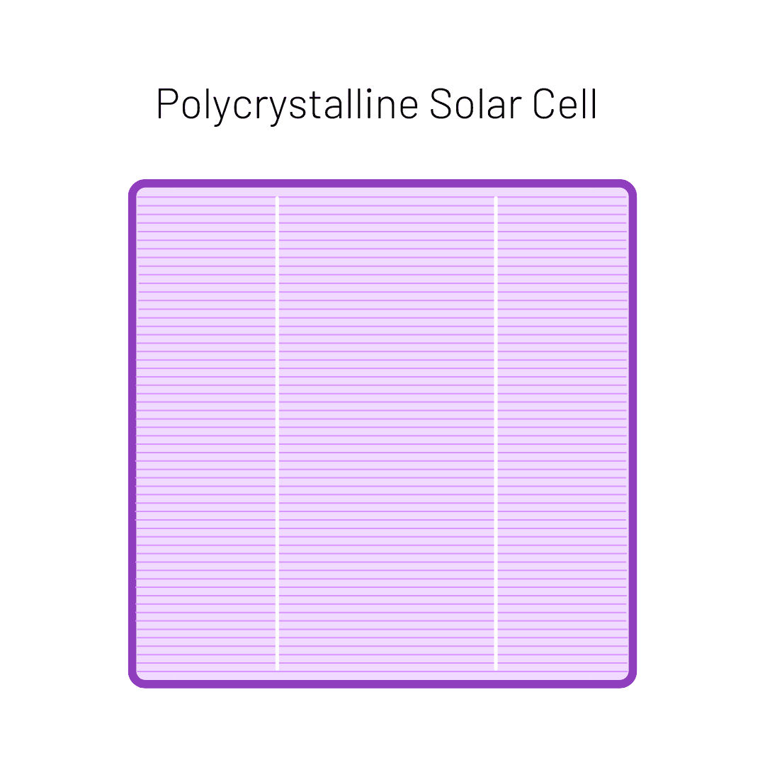 cell